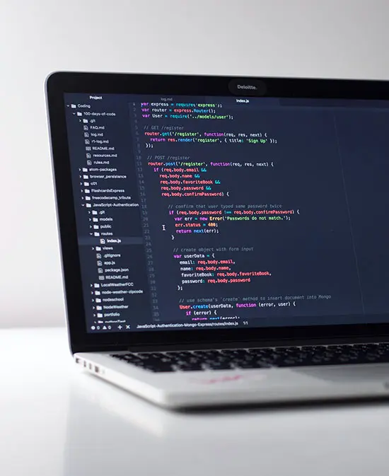 Desarrollo web